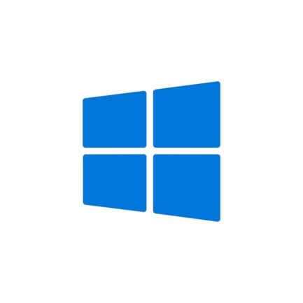 Windows 10 / 11 Pro License